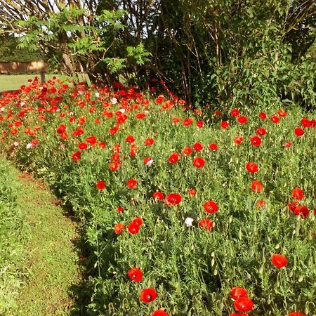 La Pause - Val De Loire Bed & Breakfast Chabris Dış mekan fotoğraf