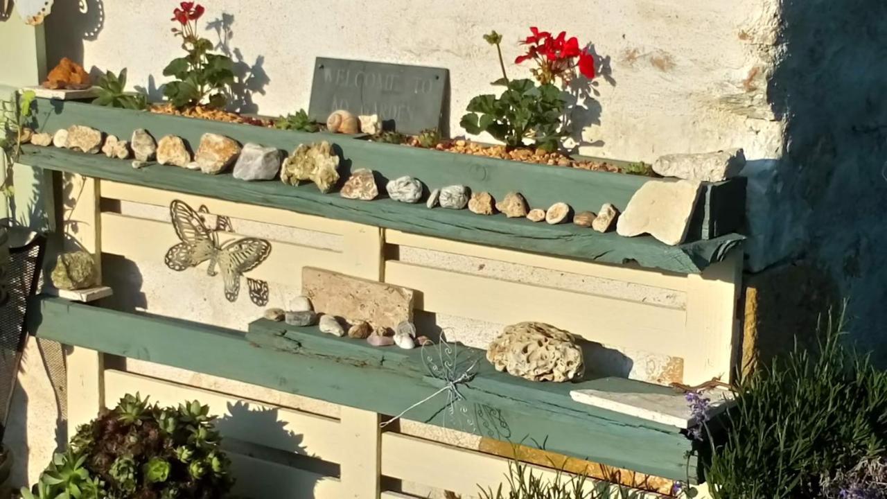 La Pause - Val De Loire Bed & Breakfast Chabris Dış mekan fotoğraf
