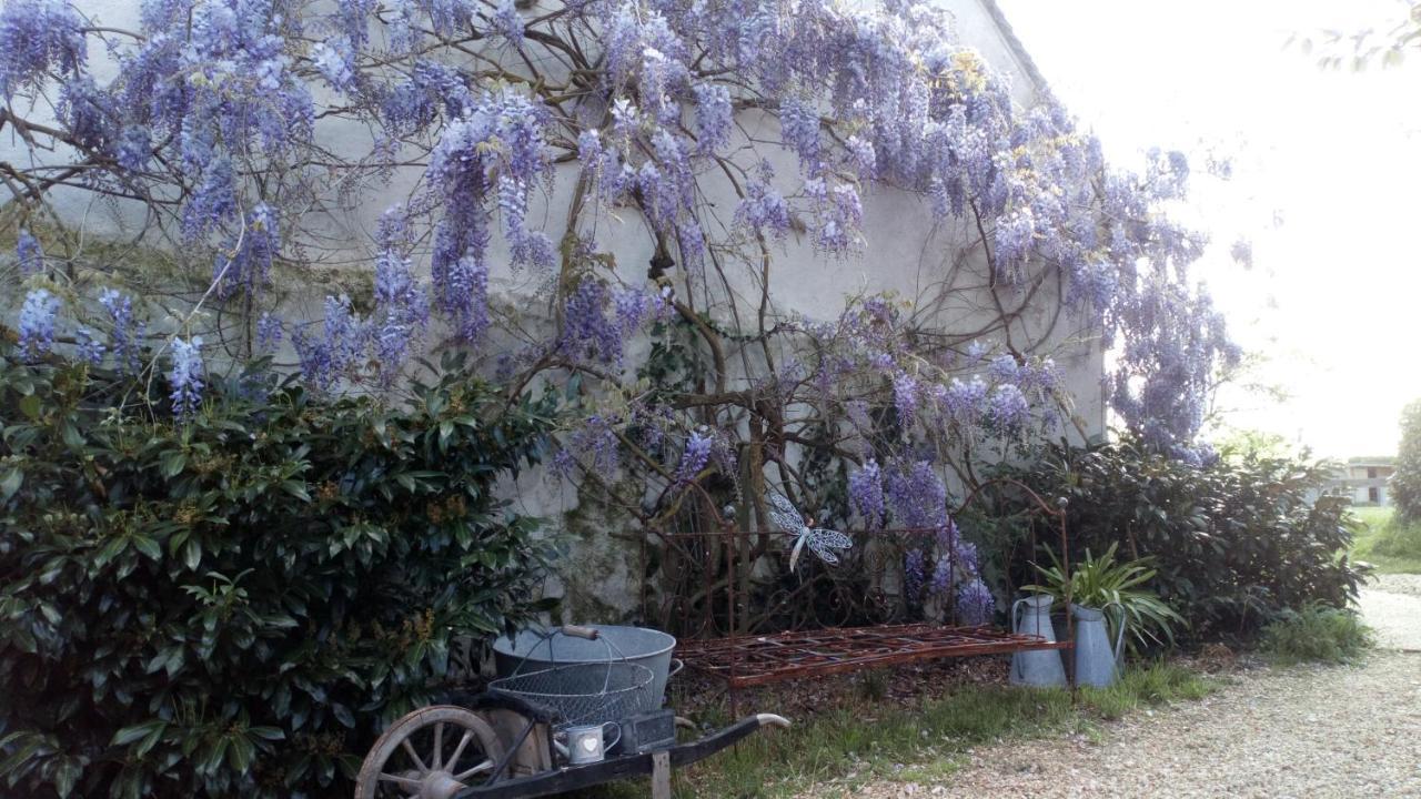 La Pause - Val De Loire Bed & Breakfast Chabris Dış mekan fotoğraf